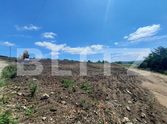 Teren de vânzare Tomesti - 146191TV | BLITZ Iași | Poza1