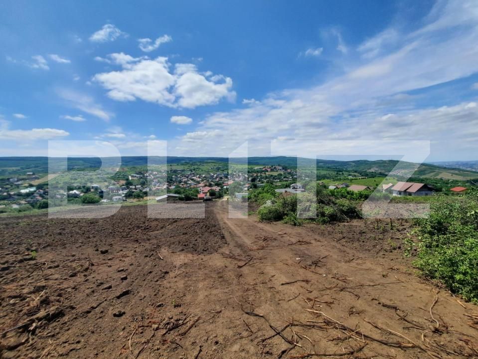 Teren de vânzare Tomesti - 146191TV | BLITZ Iași | Poza4