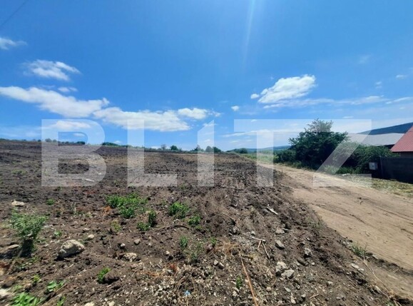 Teren de vânzare Tomesti - 146192TV | BLITZ Iași | Poza1