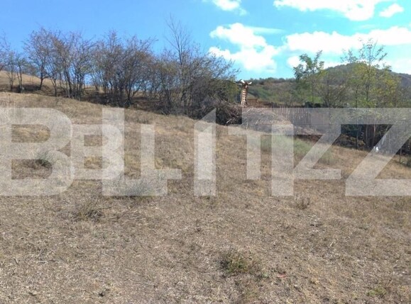 Teren de vânzare Tomesti - 146195TV | BLITZ Iași | Poza2