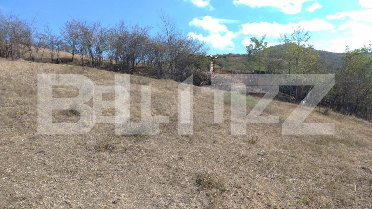 Teren de vânzare Tomesti - 146195TV | BLITZ Iași | Poza2