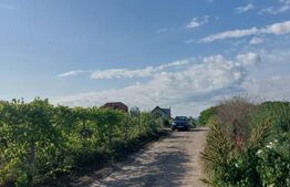 Teren intravilan 700 mp, Copou-Viticultori