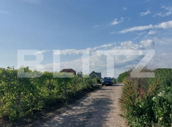 Teren de vânzare Viticultori - 146196TV | BLITZ Iași | Poza1