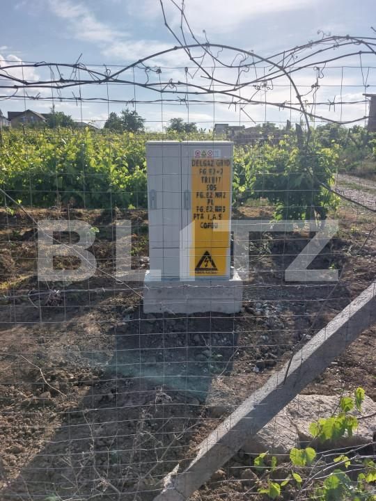 Teren de vânzare Viticultori - 146196TV | BLITZ Iași | Poza3