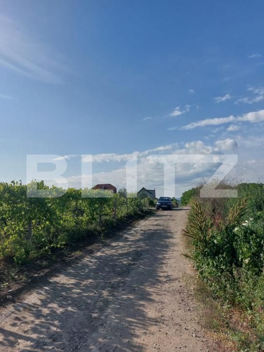 Teren de vânzare Viticultori - 146196TV | BLITZ Iași | Poza1