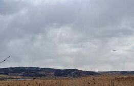 Teren intravilan de 15660 mp, zona Dancu - Tomesti