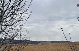 Teren intravilan de 15660 mp, zona Dancu - Tomesti