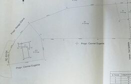 Teren de 6800 mp cu casa batraneasca in Ipatele