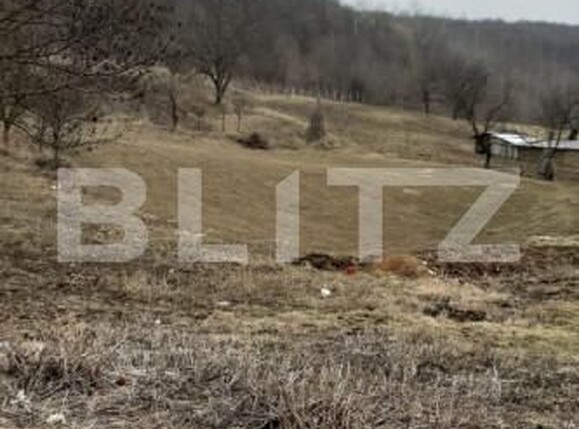 Teren de vânzare Exterior Sud - 146198TV | BLITZ Iași | Poza1