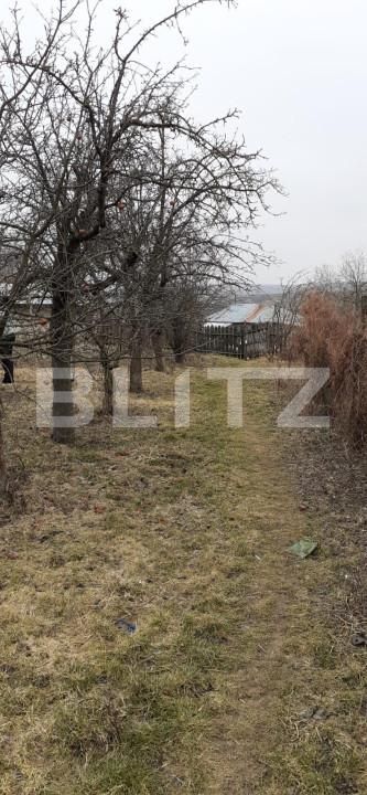 Teren de vânzare Exterior Sud - 146198TV | BLITZ Iași | Poza3