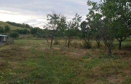 Teren intravilan de 1500 mp, canalizare, Gaureni