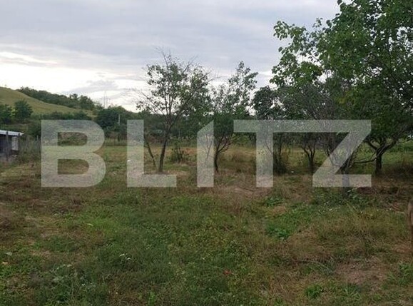 Teren de vânzare Miroslava - 146199TV | BLITZ Iași | Poza3