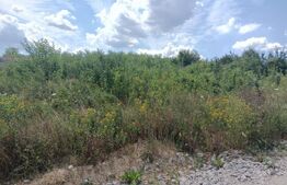 Teren intravilan 500mp+76 mp cale acces, Valea Adanca