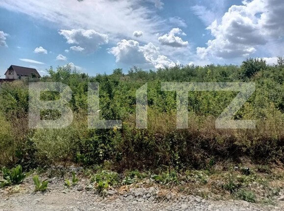 Teren de vânzare Valea Adanca - 146202TV | BLITZ Iași | Poza1