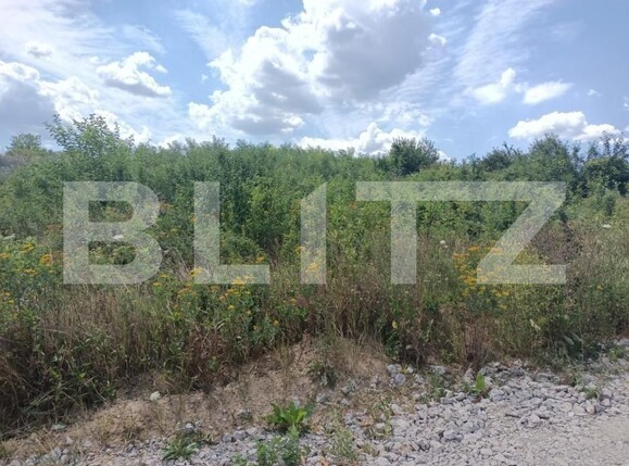 Teren de vânzare Valea Adanca - 146202TV | BLITZ Iași | Poza2