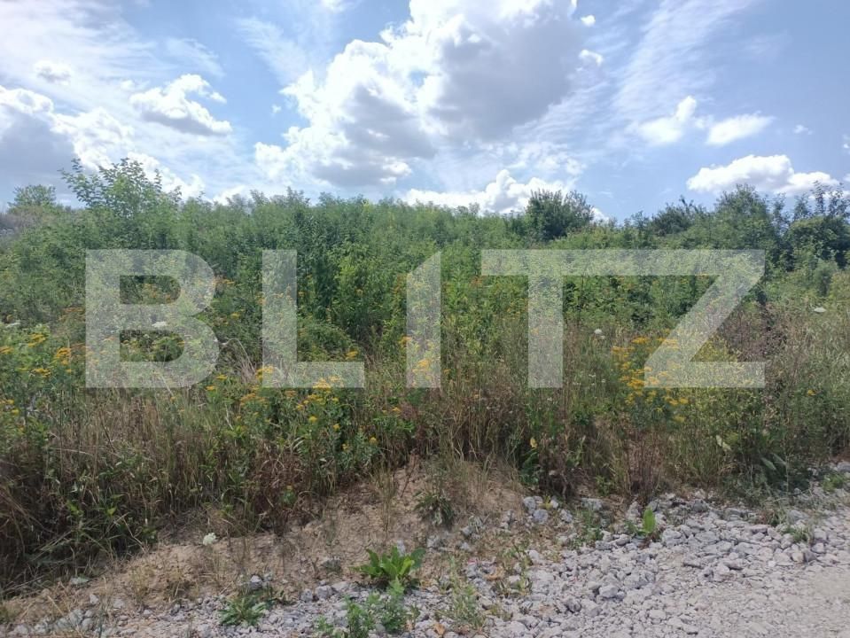 Teren de vânzare Valea Adanca - 146202TV | BLITZ Iași | Poza2
