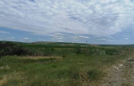 Teren extravilan 3700 mp Cogeasca