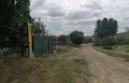 Teren extravilan 3700 mp Cogeasca