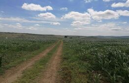 Teren extravilan 3700 mp Cogeasca