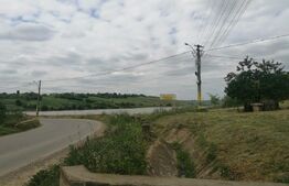 Teren extravilan 3700 mp Cogeasca