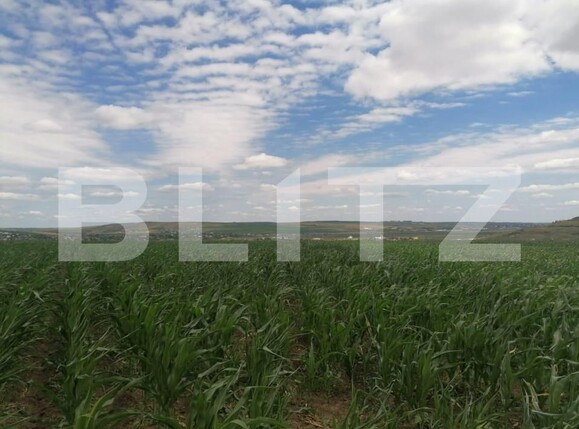 Teren de vânzare Exterior Vest - 146203TV | BLITZ Iași | Poza1