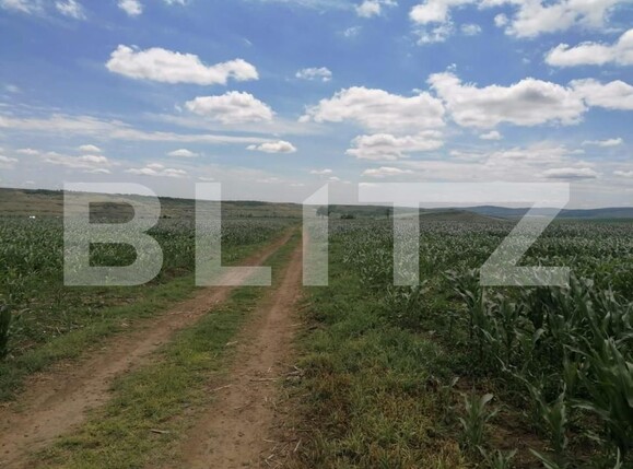 Teren de vânzare Exterior Vest - 146203TV | BLITZ Iași | Poza3