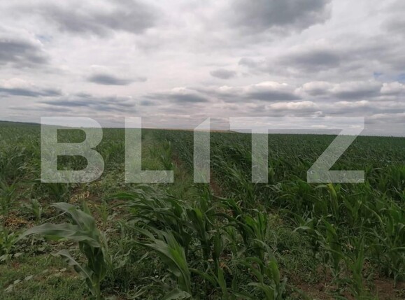 Teren de vânzare Exterior Vest - 146203TV | BLITZ Iași | Poza4