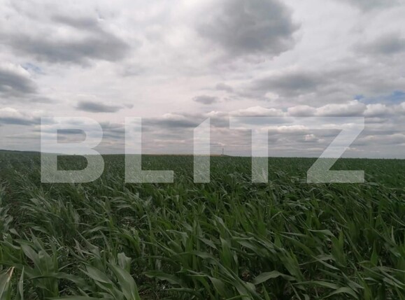 Teren de vânzare Exterior Vest - 146203TV | BLITZ Iași | Poza2