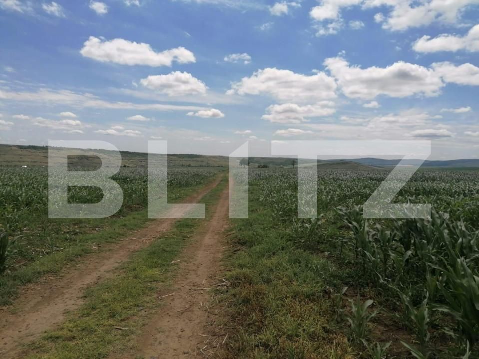 Teren de vânzare Exterior Vest - 146203TV | BLITZ Iași | Poza3