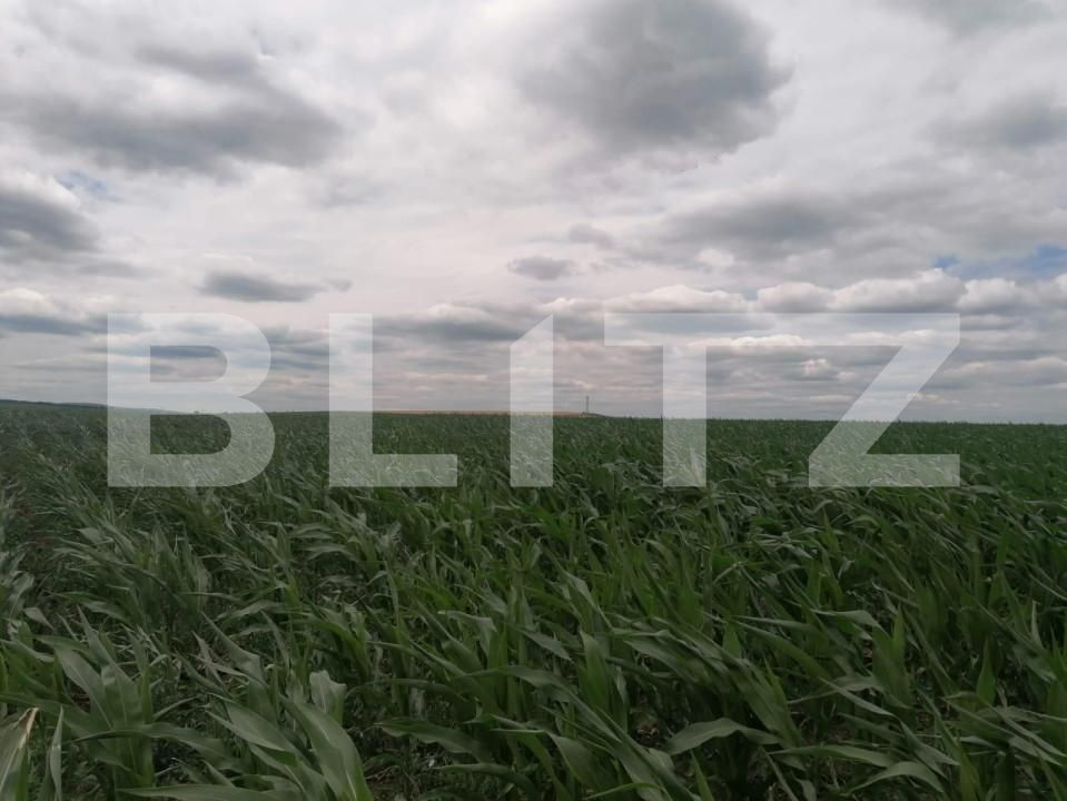 Teren de vânzare Exterior Vest - 146203TV | BLITZ Iași | Poza2