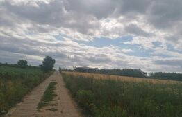 Teren 1000 mp, 30 ml deschidere la drum betonat, Moara de Vant