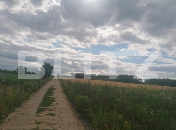 Teren de vânzare Moara de Vant - 146204TV | BLITZ Iași | Poza3