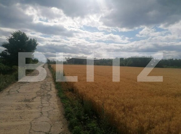 Teren de vânzare Moara de Vant - 146204TV | BLITZ Iași | Poza1