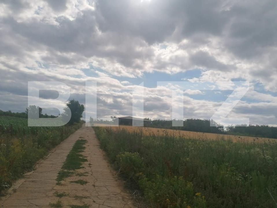 Teren de vânzare Moara de Vant - 146204TV | BLITZ Iași | Poza3