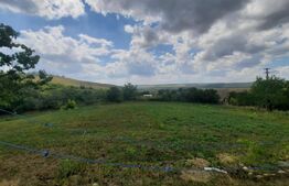 Teren intravilan 7400 mp+ casa din BCA, comuna Scanteia, sat Rediu