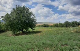 Teren intravilan 7400 mp+ casa din BCA, comuna Scanteia, sat Rediu