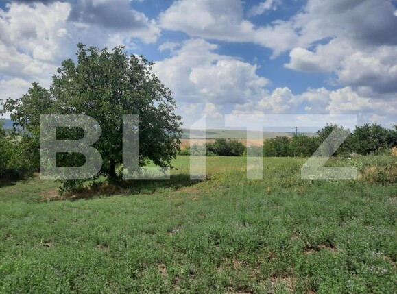 Teren de vânzare Exterior Sud - 146205TV | BLITZ Iași | Poza1