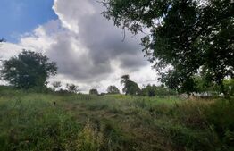 Teren 5000mp, langa padure, Dobrovat