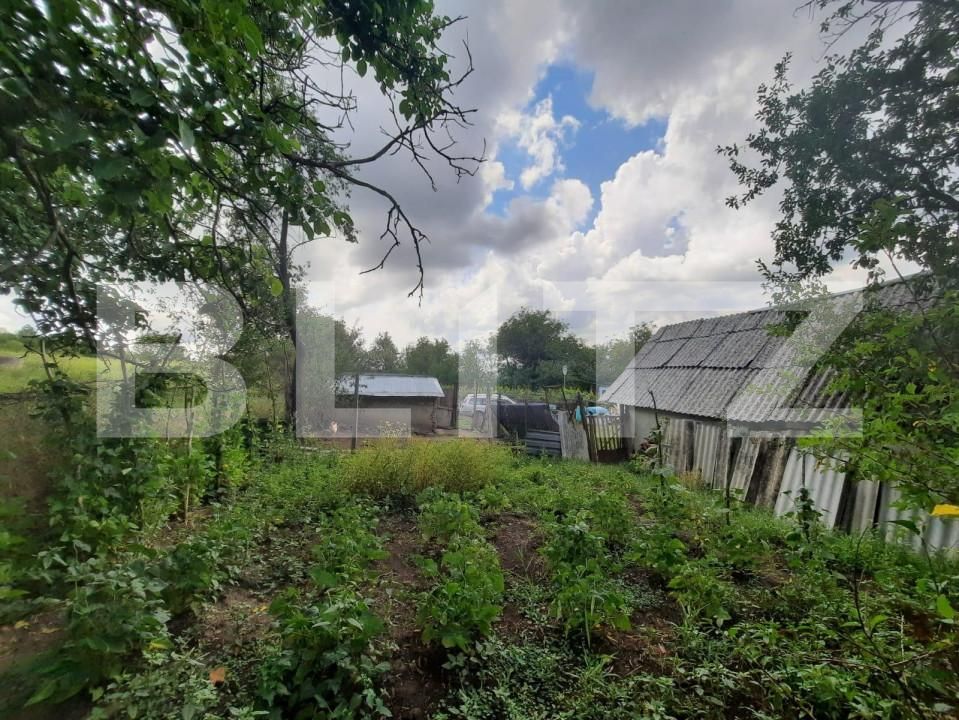 Teren de vânzare Exterior Sud - 146206TV | BLITZ Iași | Poza2