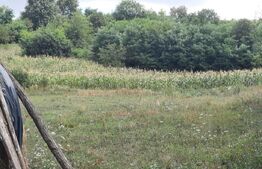 Teren 5300 mp, drum asfaltat, aproape de padure, Dobrovat