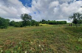 Teren de vânzare Tomesti - 161798TV | BLITZ Iași | Poza5