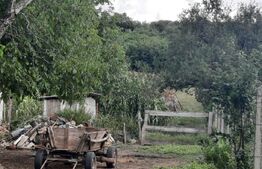 Teren 5300 mp, drum asfaltat, aproape de padure, Dobrovat