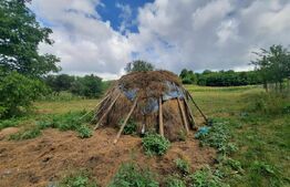 Teren 5300 mp, drum asfaltat, aproape de padure, Dobrovat