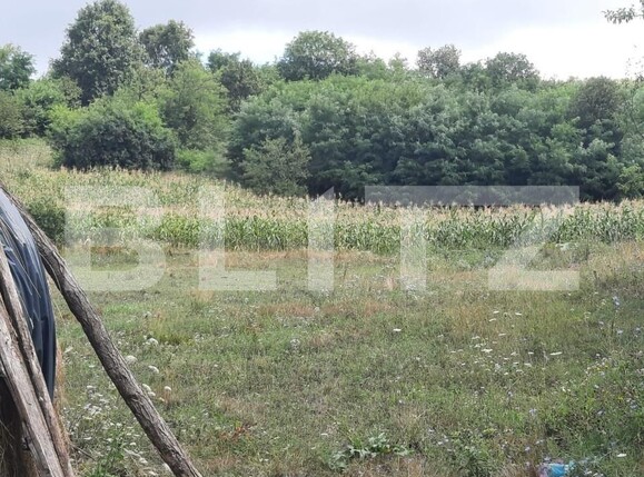 Teren de vânzare Dobrovat - 146207TV | BLITZ Iași | Poza3