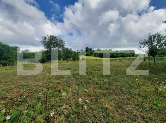 Teren de vânzare Dobrovat - 146207TV | BLITZ Iași | Poza1