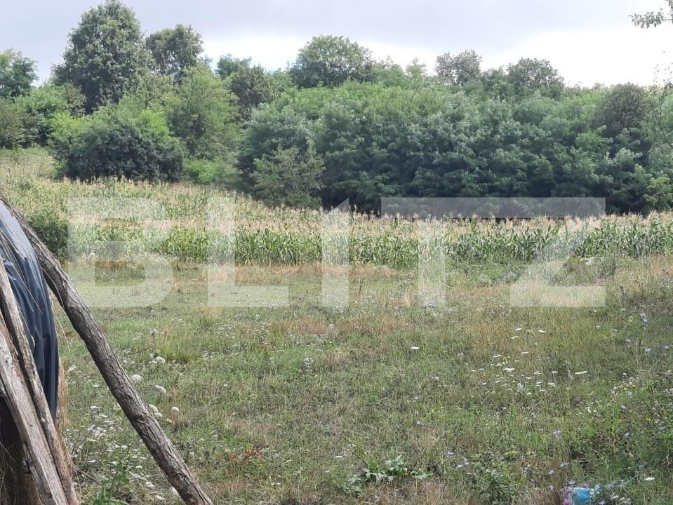 Teren de vânzare Dobrovat - 146207TV | BLITZ Iași | Poza3