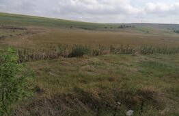 Teren intravilan 30.000 mp cu PUZ, parcelare, deschidere la DE 58, Letcani