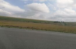 Teren intravilan 45.000 mp cu PUZ, parcelare, deschidere la DE 58, Letcani