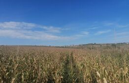 Teren de vânzare Ciurea - 188650TV | BLITZ Iași | Poza4