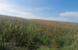 Teren 3000 mp, extravilan, Miroslava